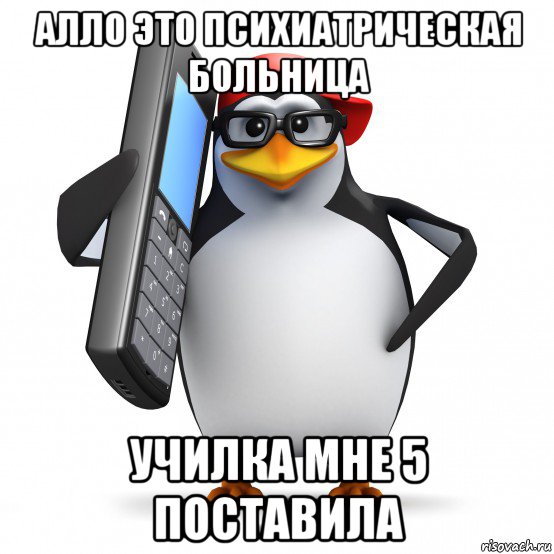 алло это психиатрическая больница училка мне 5 поставила, Мем   Пингвин звонит