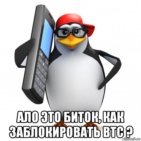  ало это биток, как заблокировать btc ?, Мем   Пингвин звонит