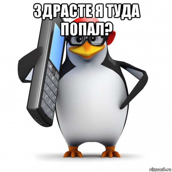 здрасте я туда попал? , Мем   Пингвин звонит