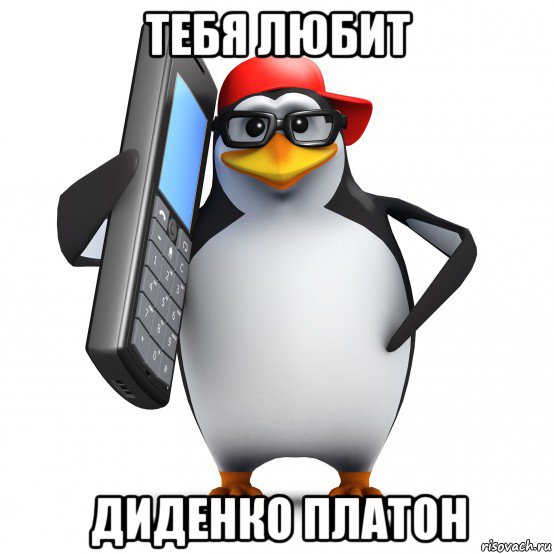 тебя любит диденко платон, Мем   Пингвин звонит