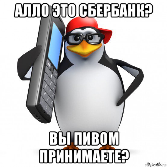 алло это сбербанк? вы пивом принимаете?, Мем   Пингвин звонит