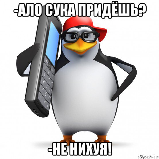 -ало сука придёшь? -не нихуя!, Мем   Пингвин звонит