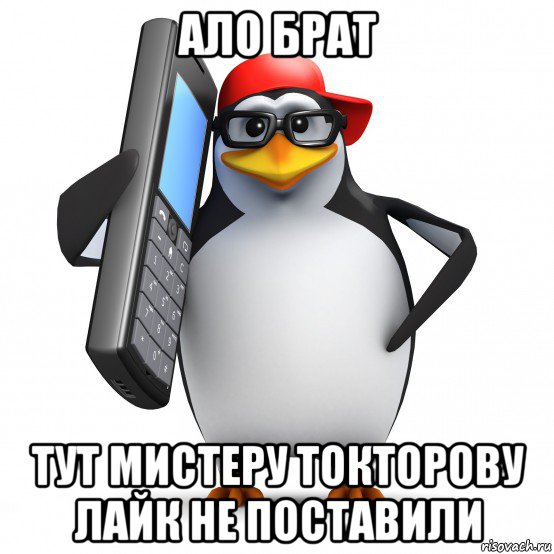 ало брат тут мистеру токторову лайк не поставили, Мем   Пингвин звонит