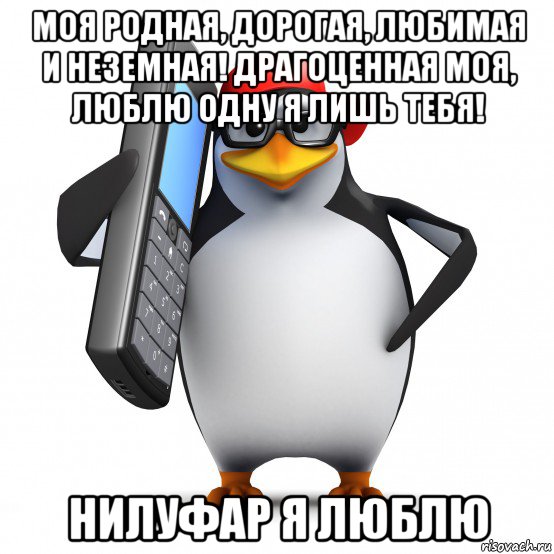 моя родная, дорогая, любимая и неземная! драгоценная моя, люблю одну я лишь тебя! нилуфар я люблю, Мем   Пингвин звонит