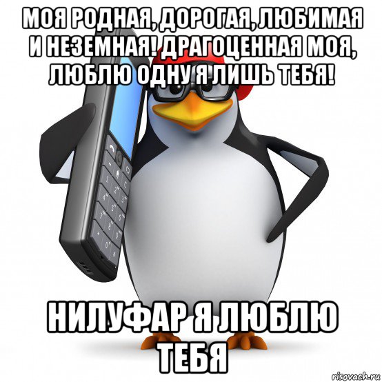 моя родная, дорогая, любимая и неземная! драгоценная моя, люблю одну я лишь тебя! нилуфар я люблю тебя, Мем   Пингвин звонит