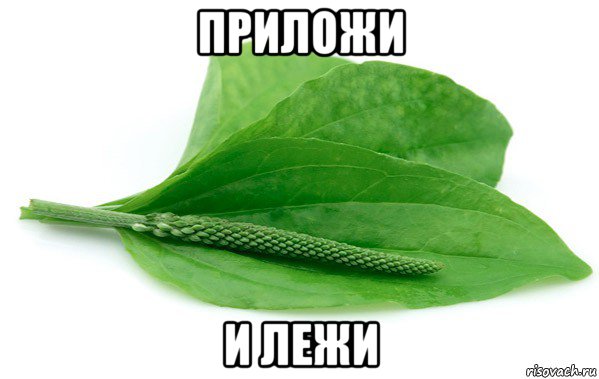 приложи и лежи