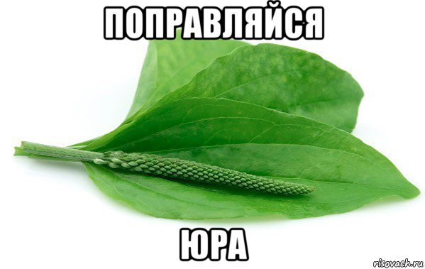 поправляйся юра