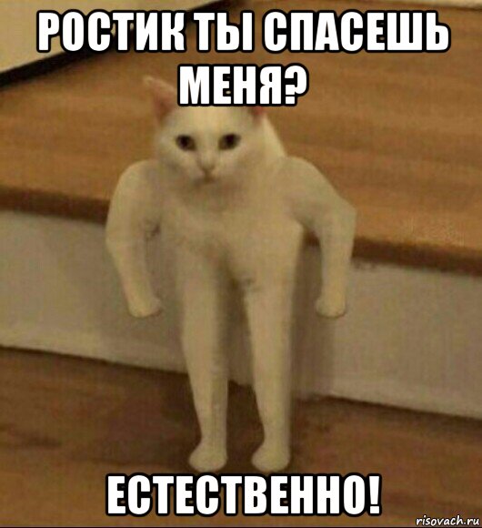 ростик ты спасешь меня? естественно!, Мем  Полукот