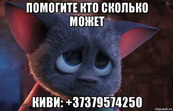 помогите кто сколько может киви: +37379574250, Мем попрошайка