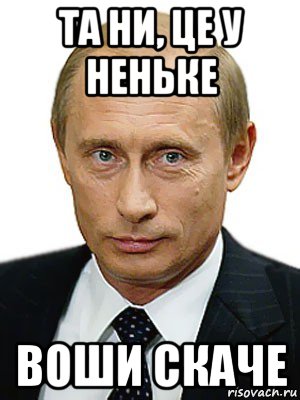 та ни, це у неньке воши скаче, Мем Путин