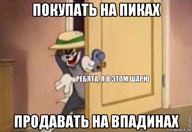 покупать на пиках продавать на впадинах, Мем    Ребята я в этом шарю