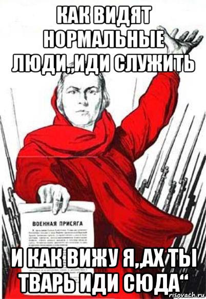 как видят нормальные люди„иди служить и как вижу я„ах ты тварь иди сюда“, Мем Родина Мать