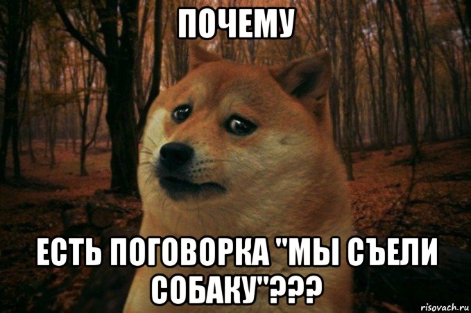 почему есть поговорка "мы съели собаку"???, Мем SAD DOGE