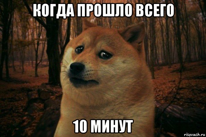 когда прошло всего 10 минут, Мем SAD DOGE