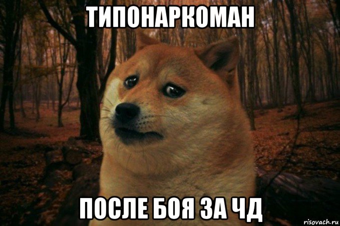 типонаркоман после боя за чд, Мем SAD DOGE