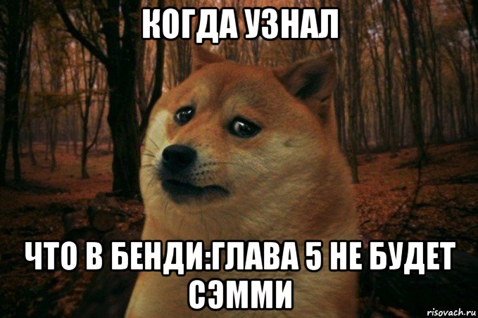 когда узнал что в бенди:глава 5 не будет сэмми, Мем SAD DOGE