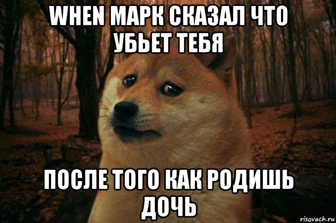 when марк сказал что убьет тебя после того как родишь дочь, Мем SAD DOGE