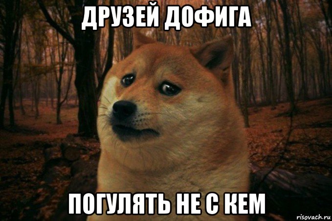 друзей дофига погулять не с кем, Мем SAD DOGE