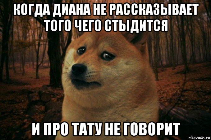 когда диана не рассказывает того чего стыдится и про тату не говорит, Мем SAD DOGE