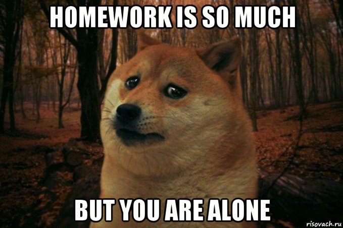 homework is so much but you are alone, Мем SAD DOGE