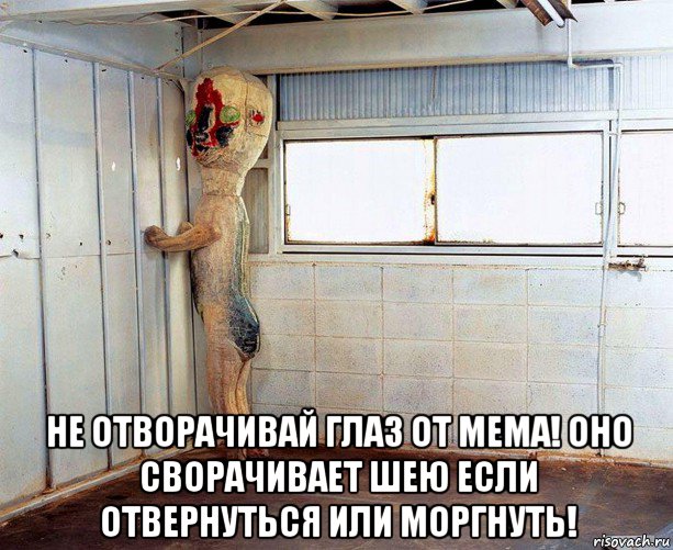  не отворачивай глаз от мема! оно сворачивает шею если отвернуться или моргнуть!