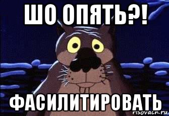 шо опять?! фасилитировать