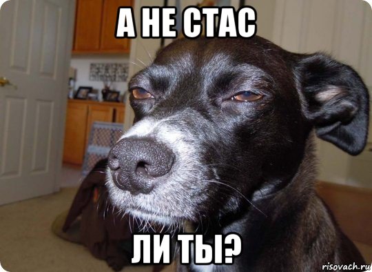 а не стас ли ты?