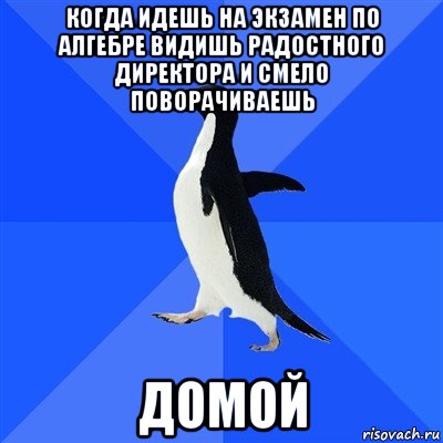 когда идешь на экзамен по алгебре видишь радостного директора и смело поворачиваешь домой, Мем  Социально-неуклюжий пингвин