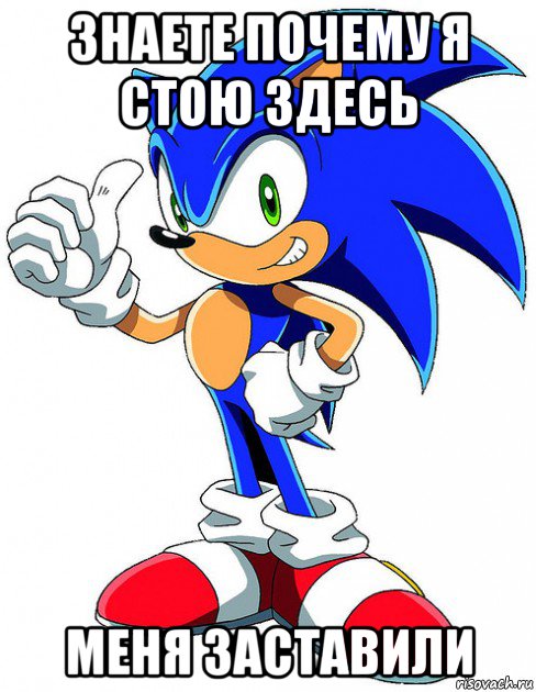 знаете почему я стою здесь меня заставили, Мем Sonic X