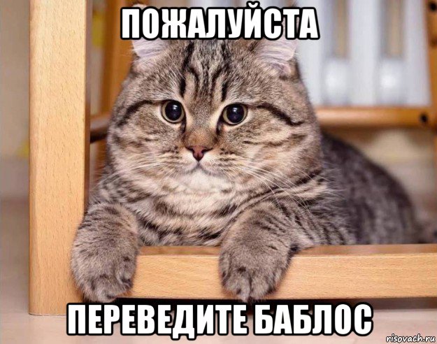 пожалуйста переведите баблос