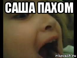 саша пахом 