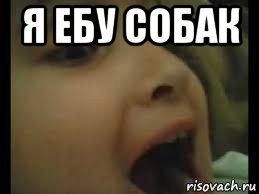 я ебу собак 