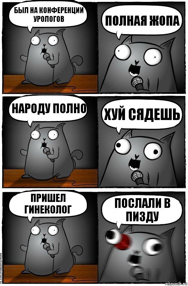 Был на конференции урологов Полная жопа Народу полно Хуй сядешь Пришел гинеколог ПОСЛАЛИ В ПИЗДУ, Комикс  Стендап-кот