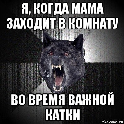 я, когда мама заходит в комнату во время важной катки, Мем Сумасшедший волк