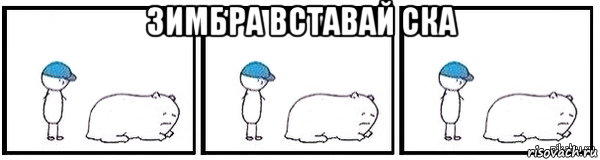зимбра вставай ска , Мем Свинья