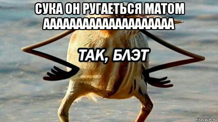 сука он ругаеться матом аааааааааааааааааааа , Мем  Так блэт