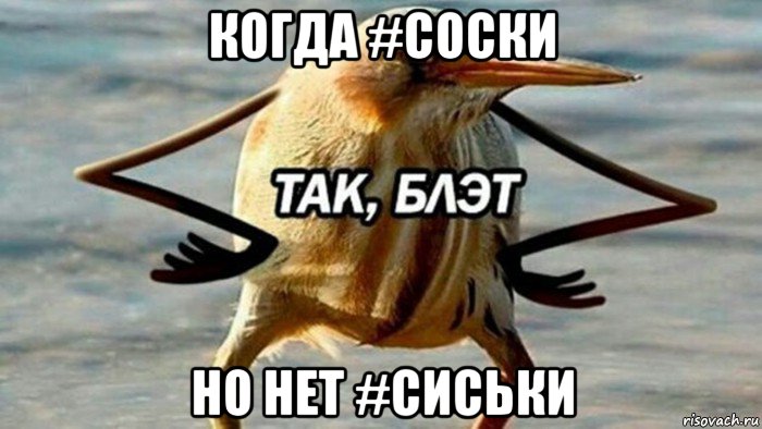 когда #соски но нет #сиськи, Мем  Так блэт