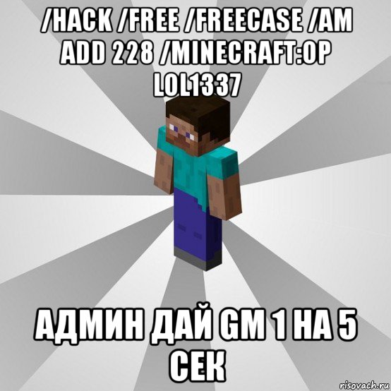 /hack /free /freecase /am add 228 /minecraft:op lol1337 админ дай gm 1 на 5 сек, Мем Типичный игрок Minecraft