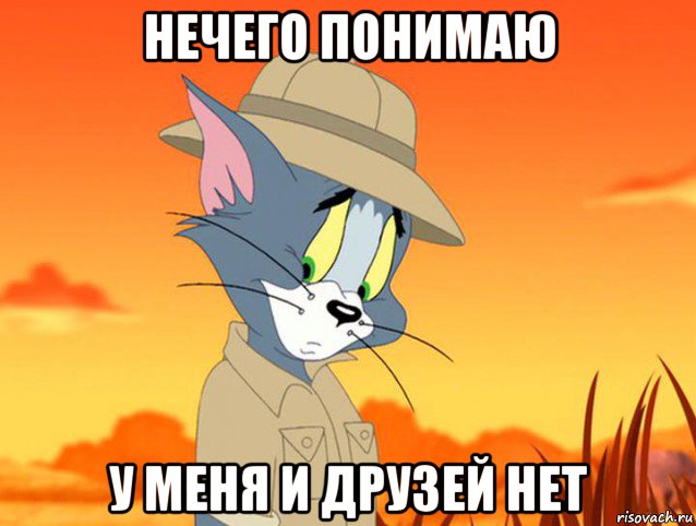 нечего понимаю у меня и друзей нет, Мем Том