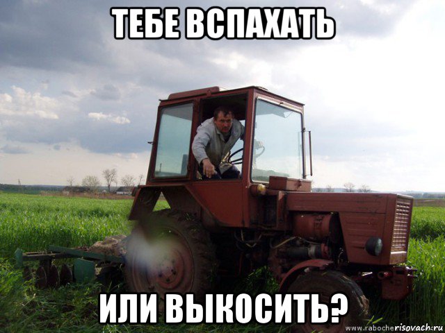 тебе вспахать или выкосить?, Мем Тракторист