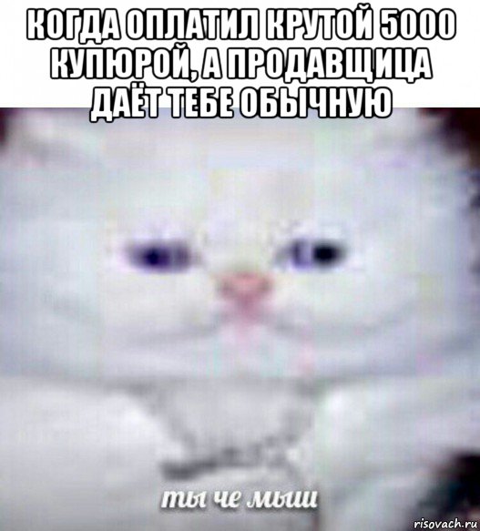 когда оплатил крутой 5000 купюрой, а продавщица даёт тебе обычную , Мем Ты че мыш