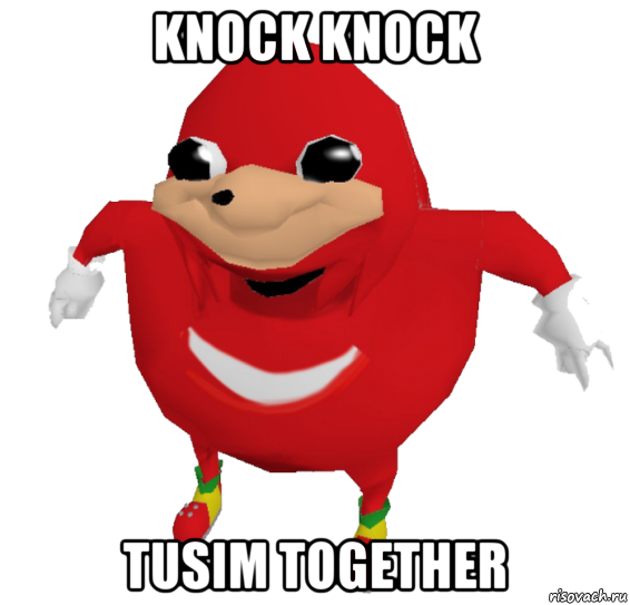 knock knock tusim together