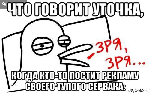 что говорит уточка, когда кто-то постит рекламу своего тупого сервака:, Мем Уточка зря зря