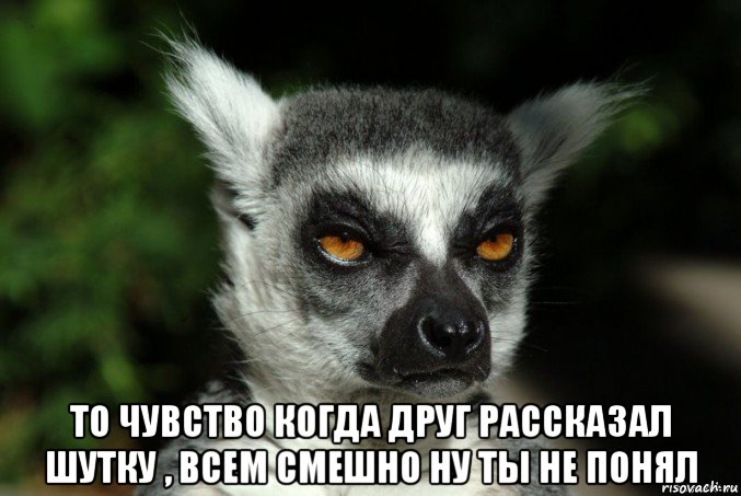  то чувство когда друг рассказал шутку , всем смешно ну ты не понял, Мем   Я збагоен