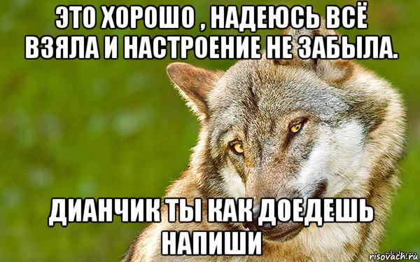 это хорошо , надеюсь всё взяла и настроение не забыла. дианчик ты как доедешь напиши, Мем   Volf