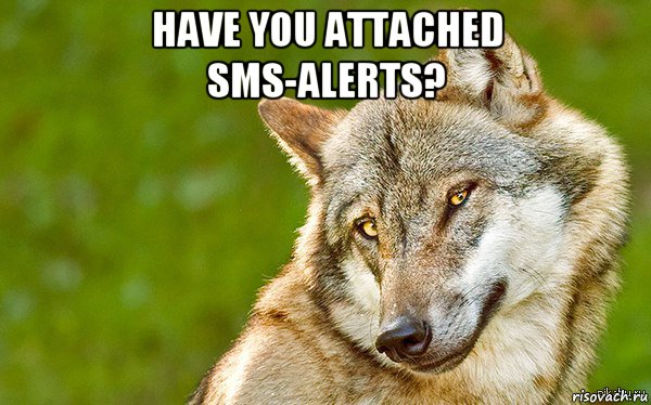 have you attached sms-alerts? , Мем   Volf