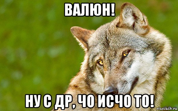 валюн! ну с др, чо исчо то!, Мем   Volf