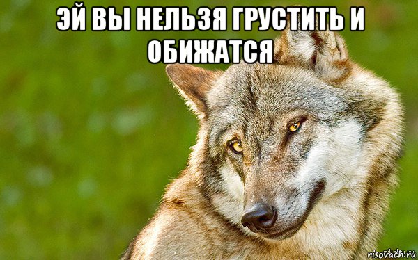 эй вы нельзя грустить и обижатся , Мем   Volf