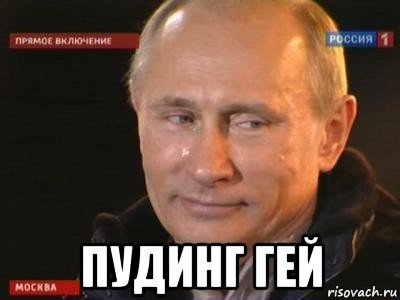  пудинг гей, Мем вова