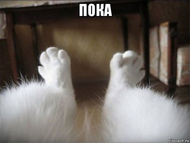 пока 
